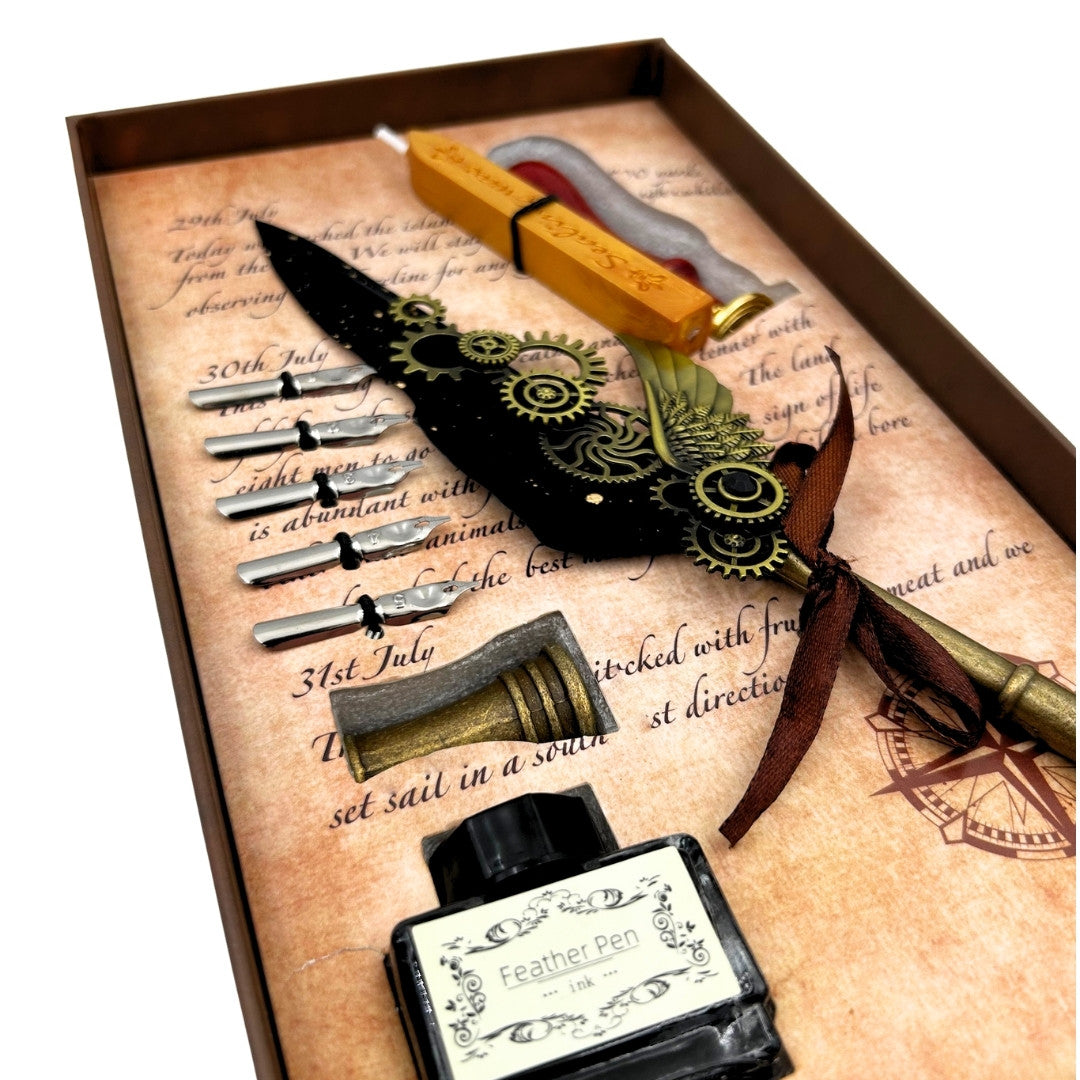 Set de caligrafie premium pană de gâscă - 6 penițe sigiliu suport pentru pană - EE16