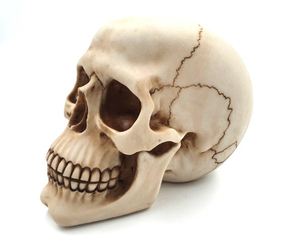 Figurină decorativă craniu 15 cm din polirășină, personalizabilă prin gravură