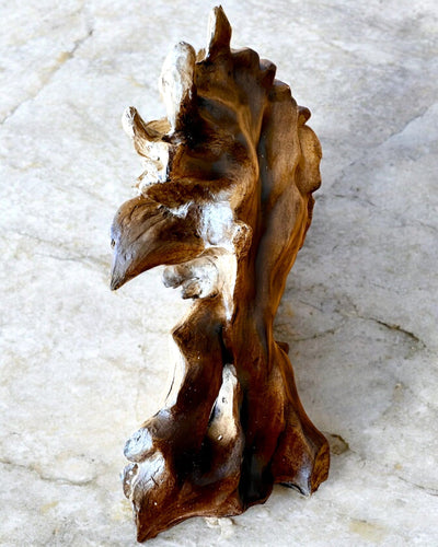 Figurină din Rășină Lwia Odwaga, 28 cm înălțime, cu opțiune de gravare pentru cadou