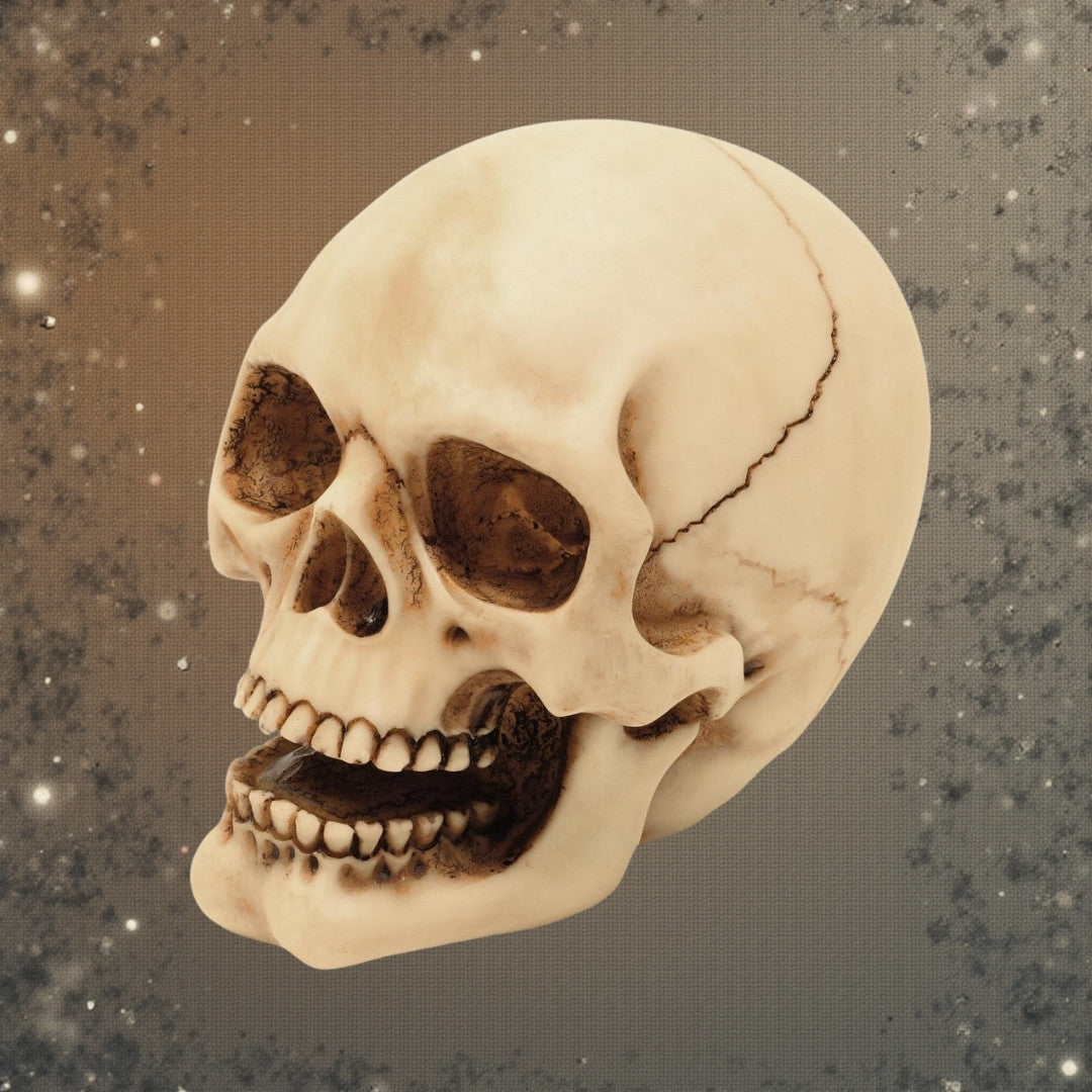 Figurină craniu 10 cm, cu posibilitate de gravură - decorațiune pictată manual din polirășină, pentru cadou pentru iubitorii stilului gotic și dark