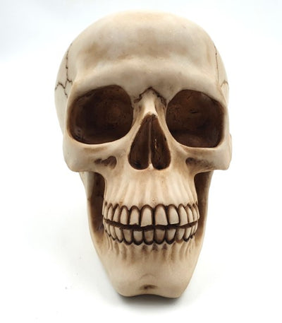 Figurină decorativă craniu 15 cm din polirășină, personalizabilă prin gravură