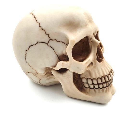 Figurină decorativă craniu 15 cm din polirășină, personalizabilă prin gravură
