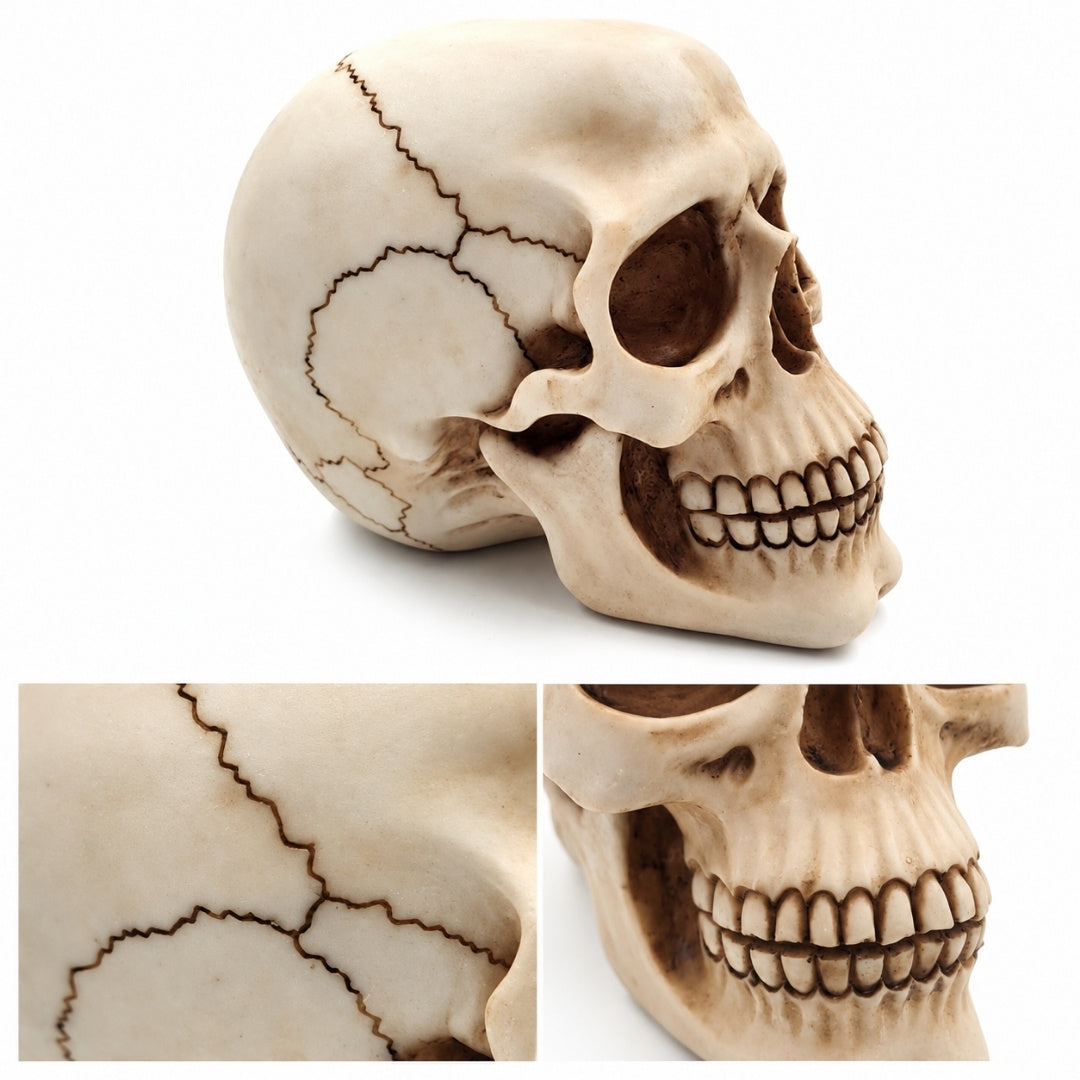 Figurină decorativă craniu 15 cm din polirășină, personalizabilă prin gravură