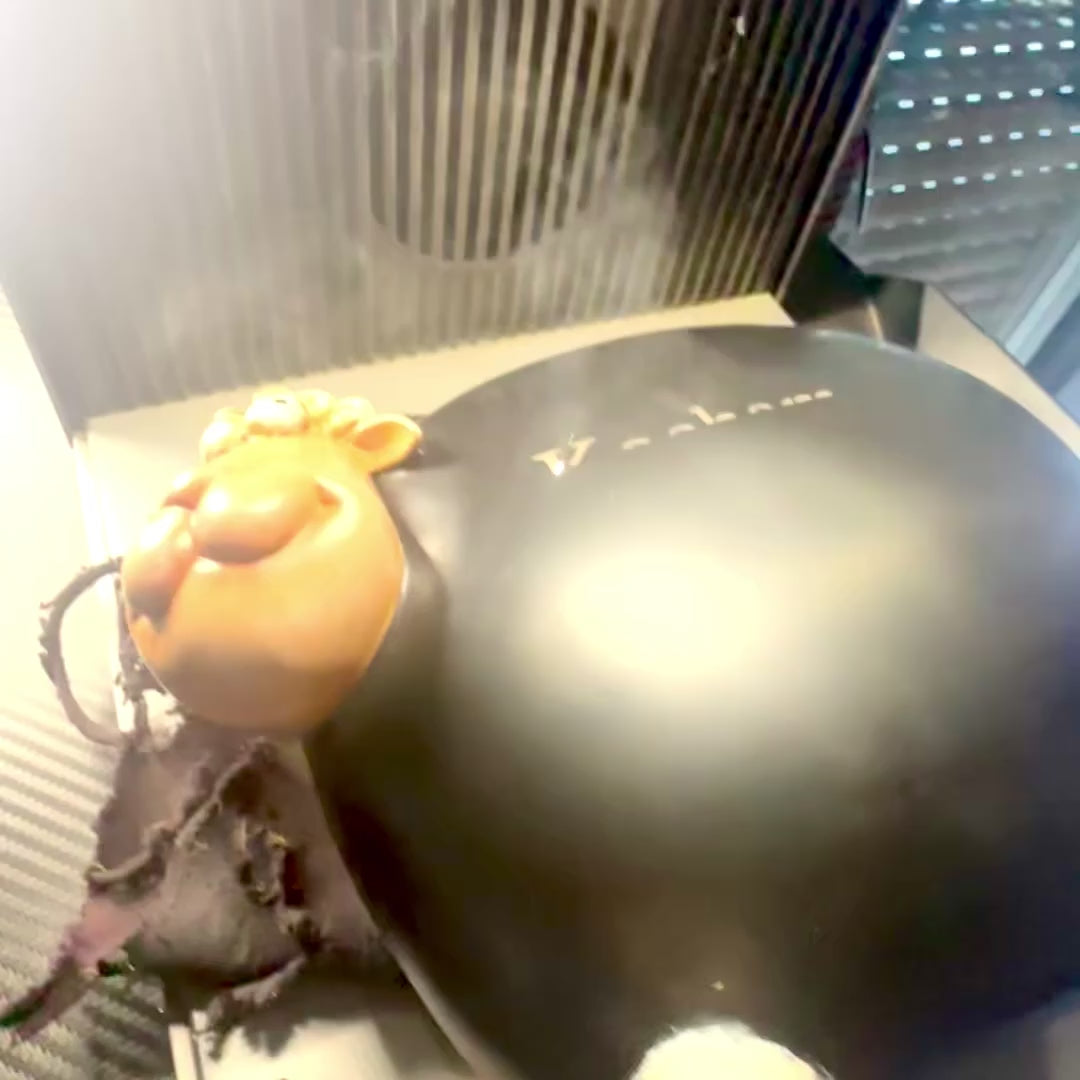 Skarbonka Owieczka z Farby Tablicowej z Możliwością Personalizacji - Czarna z Elementami Beżu i Bieli, Wysokość 19,5 cm